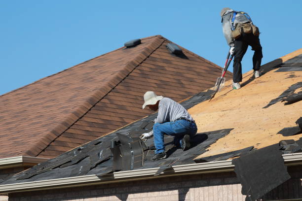 Best Roof Coating Services  in Knoxville, IA
