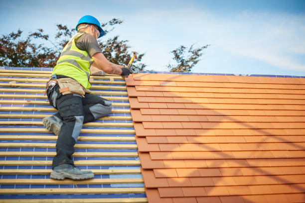 Best Gutter Installation and Repair  in Knoxville, IA